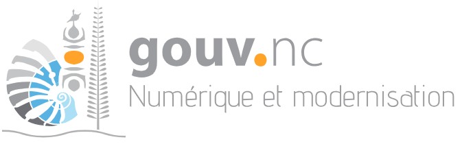Gouv NC - DINUM